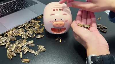 Sunflower Seed Opener