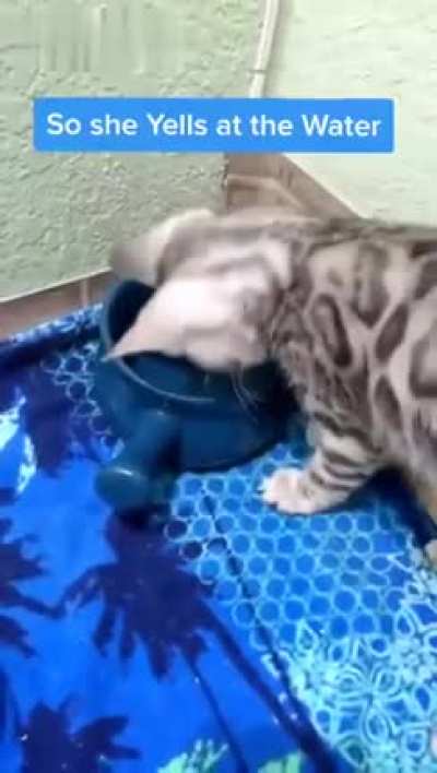 Yelling at water