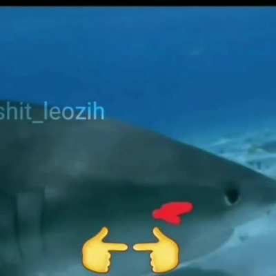 👉👈