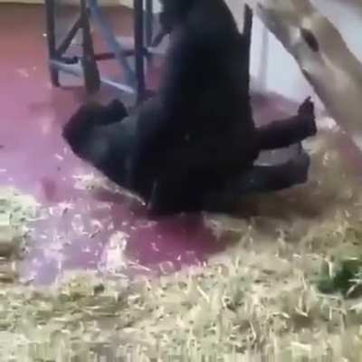 Ooou