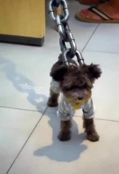 Blursed Monster