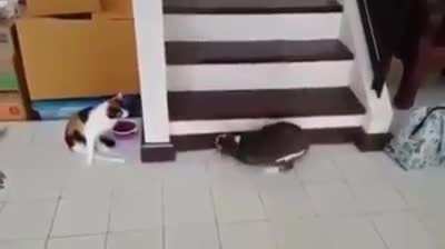 Дополняя друг-друга
