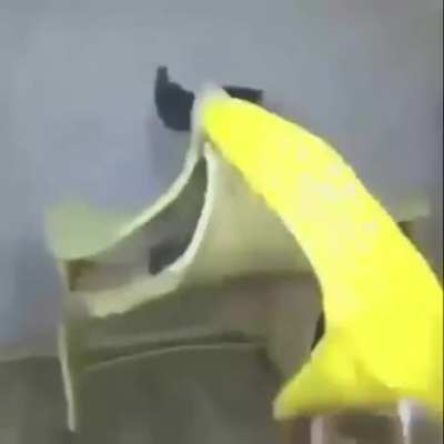 Tapoha