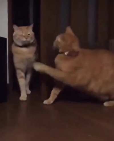 Very polite slaps