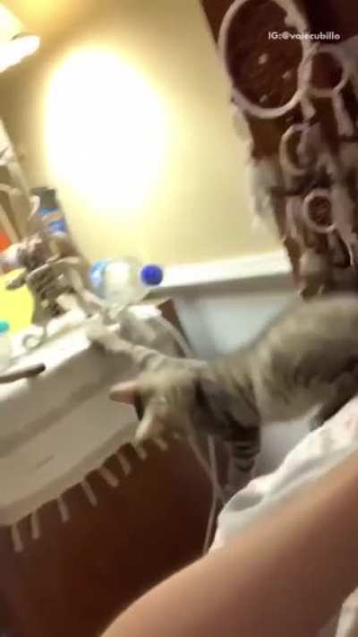 Quality time with the cat