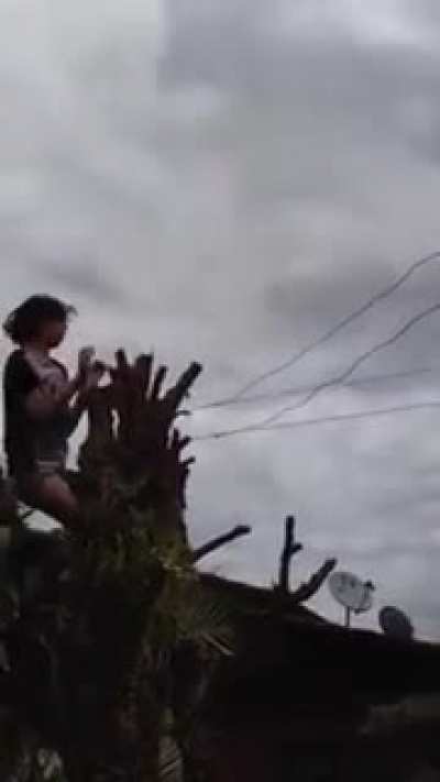 broom + power line = zap