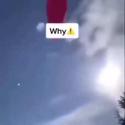 Sus