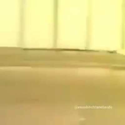 Arabianofdskkkkkkkk
