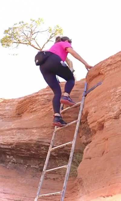 🍑