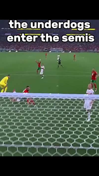 Can the underdogs reach the semi finals?