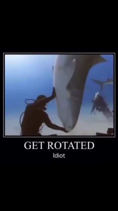 Naughty sharks gets put on the y-axis