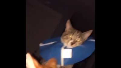 Car got a lil too freaky for orange's liking