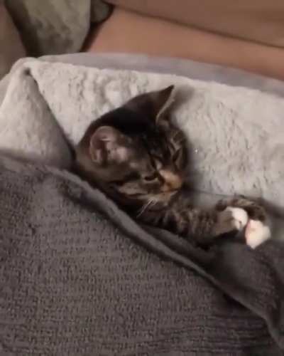 He really love his teddy...