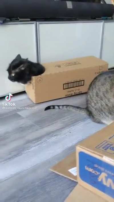 Mobile home
