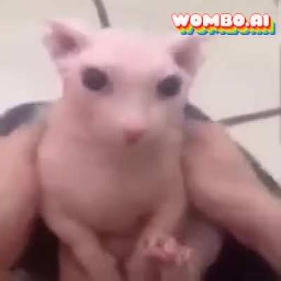 He