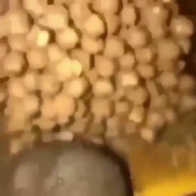 cursed_Coco Puffs