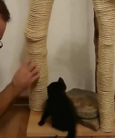 Learning how to productively scratch