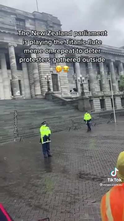 The New Zealand Parliament played the Titanic flute meme on repeat in response to their own Ottawa style 'Freedom Convoy' protesting outside. They also played Baby Shark, the Macarena and James Blunt also gave permission for his music to be used.