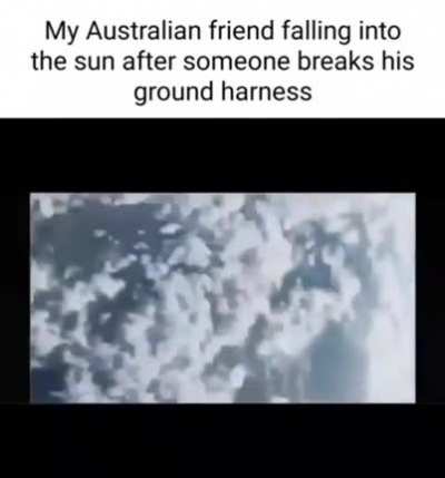 Fly