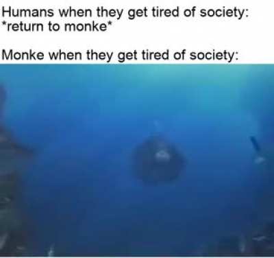 Reject monke, return to fishe