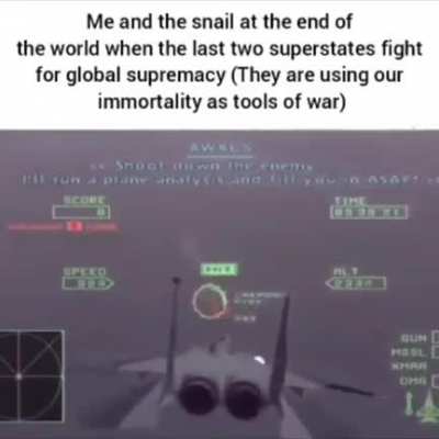 Me and the snail