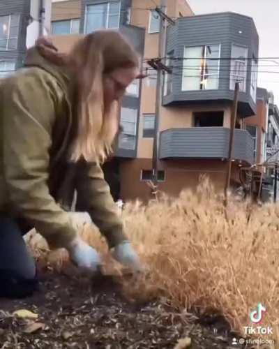 Too much weed