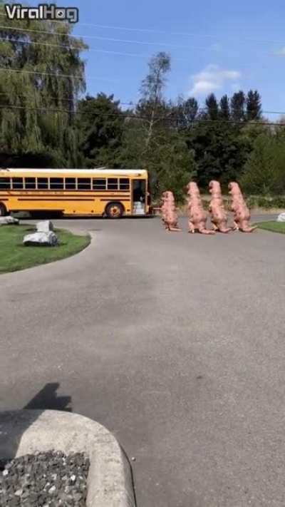 When the whole pack greets you at the bus.