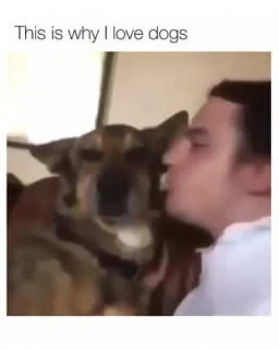 This is why I love dogs