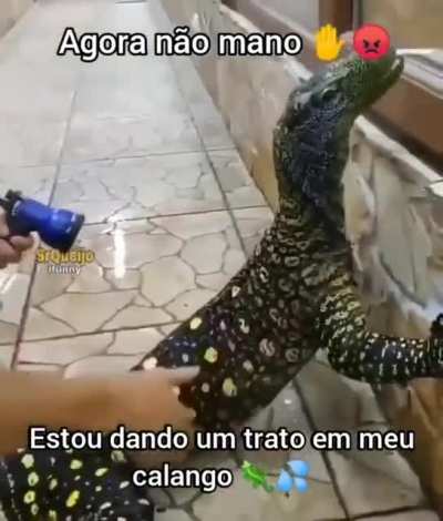 Agora não!!!
