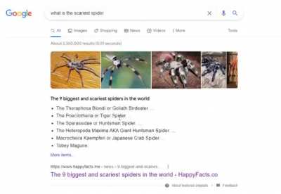 Spider Spider Spider wait a minute...