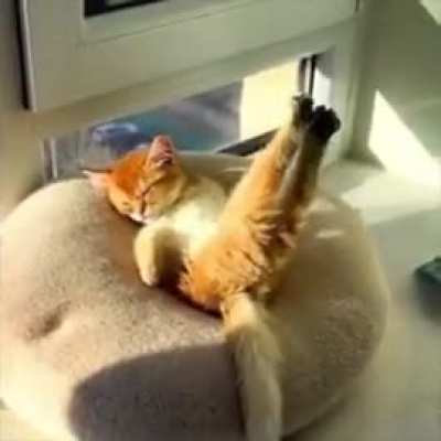 Sunday Mood..