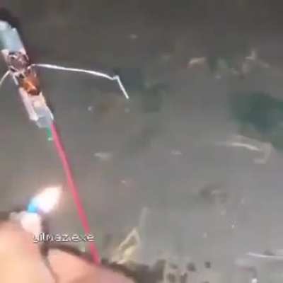 Fuck you roach 
