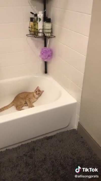 Caught