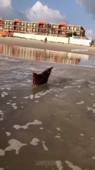 When you go to the beach and step ankle high in the water and wait for the waves to recede so you can feel the sand disappear under your feet   