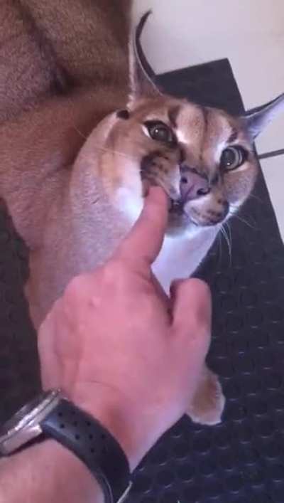 angry