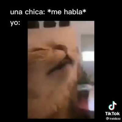 si soy
