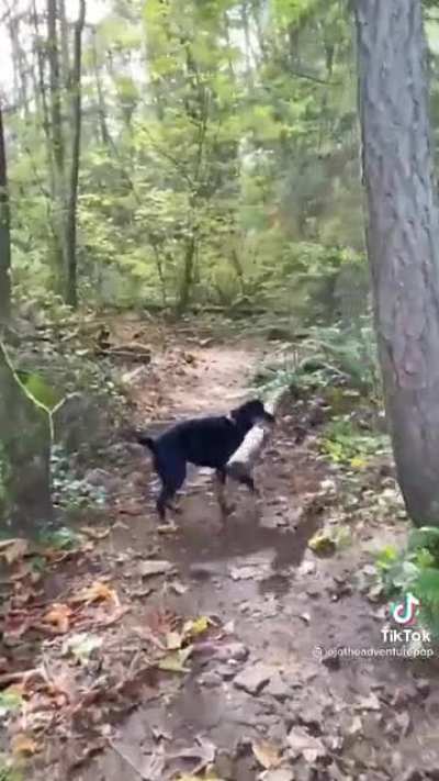 Found a stick