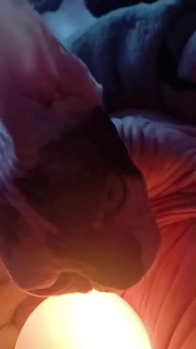 Glowing Bingus