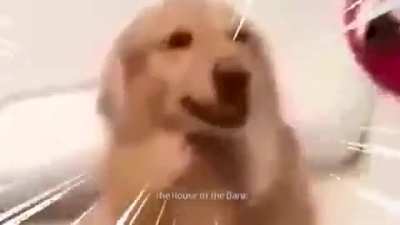 Melhor luta dos animes!