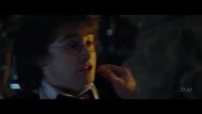 Dumbledore Asked Calmly(69)