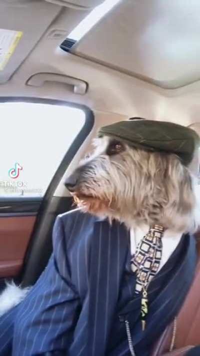 He fresh as hell