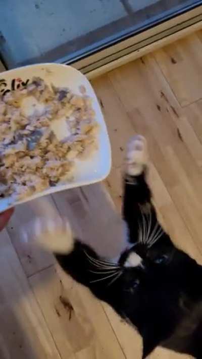 feed me mother
