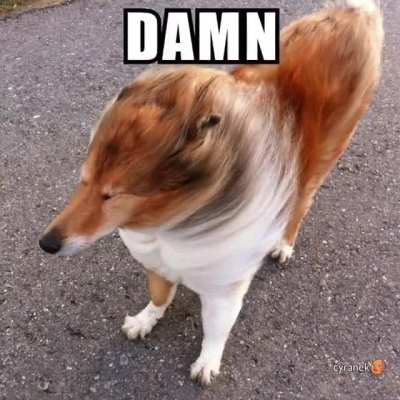 ~~~