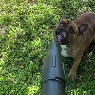 The leaf blower is his sworn enemy.