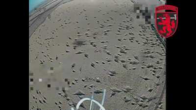 Russian observation drone shot down by kamikaze drone of the reconnaissance unit of the 68th Jaeger Brigade 