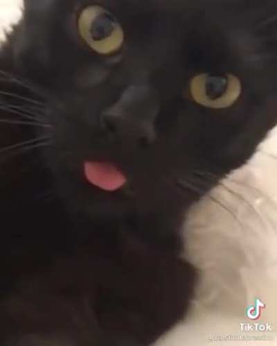 When people say “ iT’s N0t crINge”
