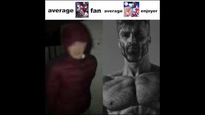 fan vs enjoyer