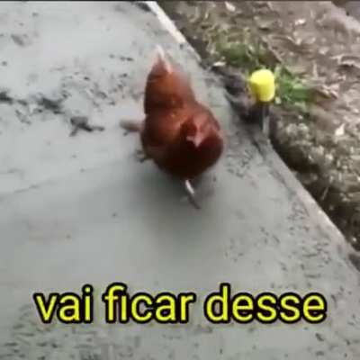 🍗🍗🍗🍗🍗<wbr>🍗