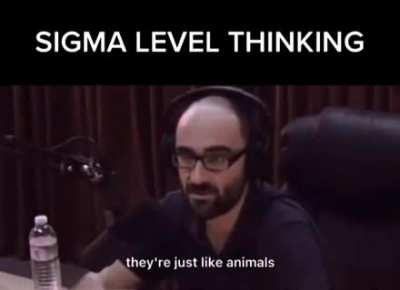 Babies are animals