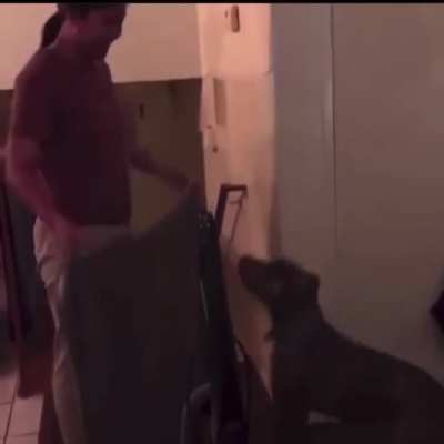 Wait for it